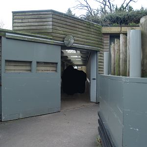 Passage between hippopotamus stable and outdoor exhibit, 2008-03-01