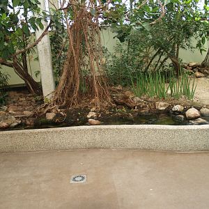 Landscaped area in the Africa House, 2008-03-01