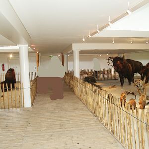 Museum part of the Africa House, 2008-03-01