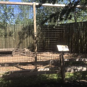 “North America” - Coyote Exhibit