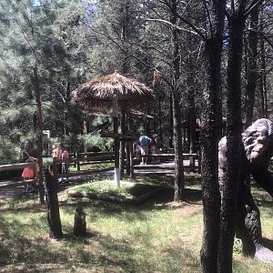 “North America” - Scarlet Macaw and Blue & Gold Macaw Tree