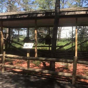 “North America” - Lion-Tailed Macaque Exhibit