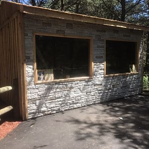 “North America” - Cotton-Topped Tamarin & Red-Handed Tamarin Exhibits