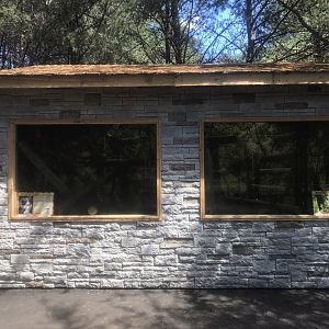 “North America” - Cotton-Topped Tamarin/Red-Hander Tamarin Exhibits