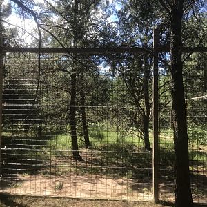 “North America” - Sloth Bear Exhibit