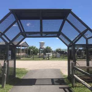 “Africa” - Lovebird Archway