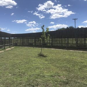 World of Birds Exhibit