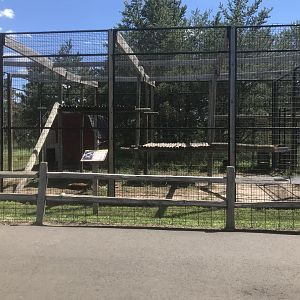 “Asia” - Leopard Exhibit