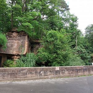 View towards fishing cat enclosure