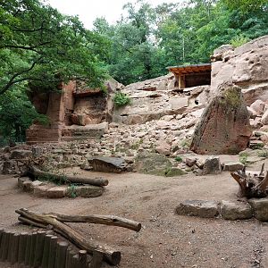 Alpine ibex enclosure