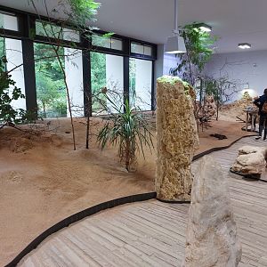 Desert house interior