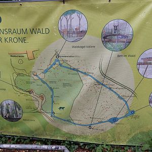 Future tree tops walk