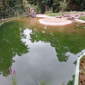 Future water buffalo exhibit