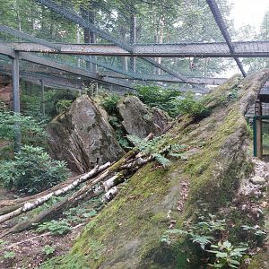 Part of snowleopard cage