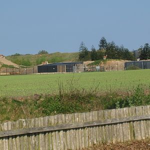Back-side of the Guanaco paddock, 2009-04-19
