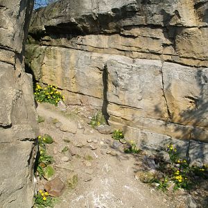 Playa Penguin - Crevice area between different parts of the exhibit, 2009-04-19