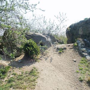 Playa Penguinos with Humboldt penguins and Steamer ducks - Beach, dunes and rocks section, 2009-04-19