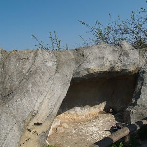 Playa Penguinos with Humboldt penguins and Steamer ducks - Penguin shelter, 2009-04-19