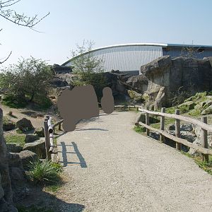 Playa Penguinos with Humboldt penguins and Steamer ducks - Walk-through beach, dunes and rocks section, 2009-04-19