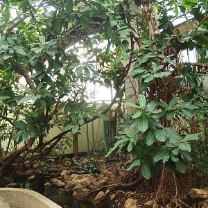 Bird area in the Africa House, 2009-04-19