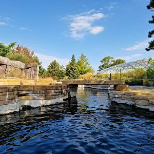 California Sae Lion exhibit