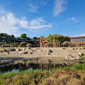 Asian Elephant outdoor exhibit, visible from outside the zoo.