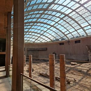 Asian Elephant house