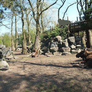 Wild West exhibit, 2009-04-19