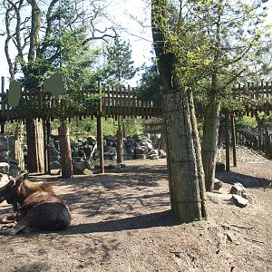 Wild West exhibit and viewing bridge, 2009-04-19