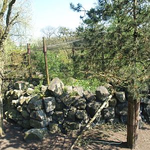 Wild West exhibit - Eurasian great grey owl aviary, 2009-04-19