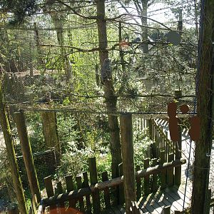 Wild West exhibit - Walkway underneath Eurasian great grey owl aviary, 2009-04-19