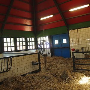 Petting zoo building - Indoor paddock, 2009-04-19