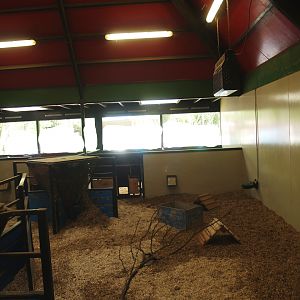 Petting zoo building - Indoor paddock, 2009-04-19