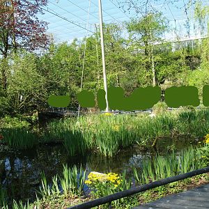 American bird garden, 2009-04-19