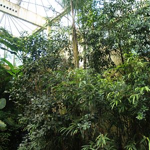 View in the Americasa, 2009-04-19