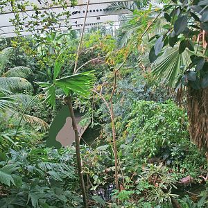 View in the Americasa, 2009-04-19