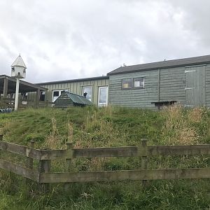 Rabbit & dove enclosure
