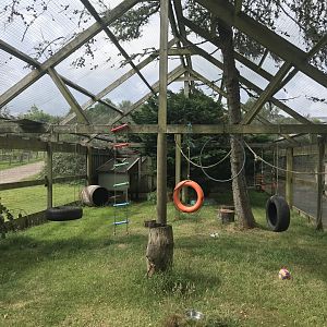 B&W ruffed lemur enclosure