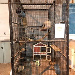 The hatchery- chinchilla enclosure