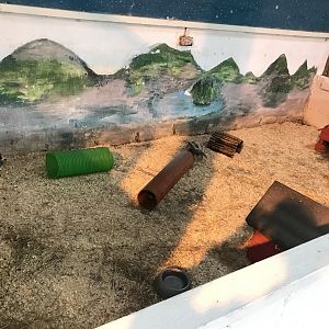 The hatchery- second rabbit enclosure