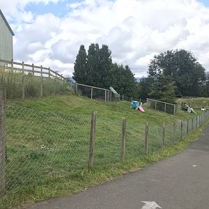 Pygmy goat enclosure