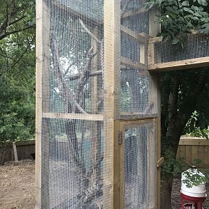 First common marmoset enclosure