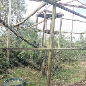 Temporary ASCO enclosure