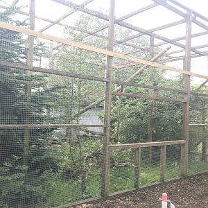 Scottish wildcat enclosure (2)