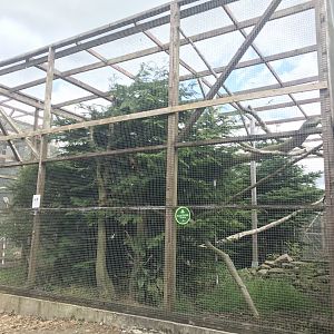 Scottish wildcat enclosure (3)