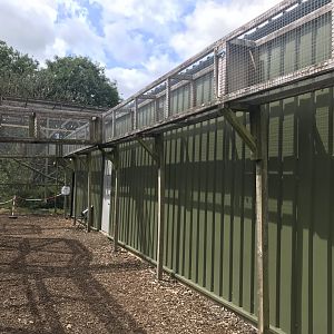 Scottish wildcat overhead tunnels