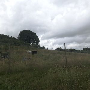 Second goat enclosure