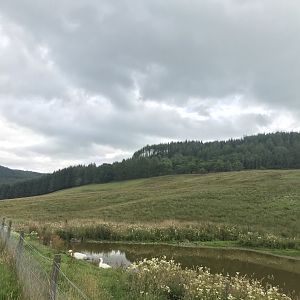 Reed deer enclosure (2)
