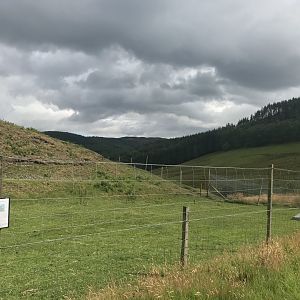 Hebridean sheep enclosure (2)