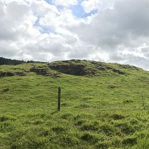 Second highland cow enclosure (2)